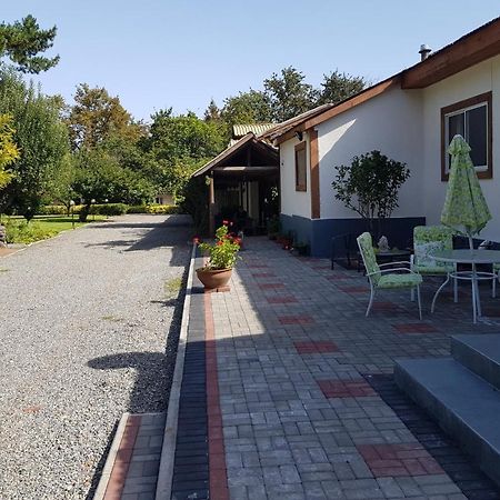 Lodge Mirador Chillán Εξωτερικό φωτογραφία