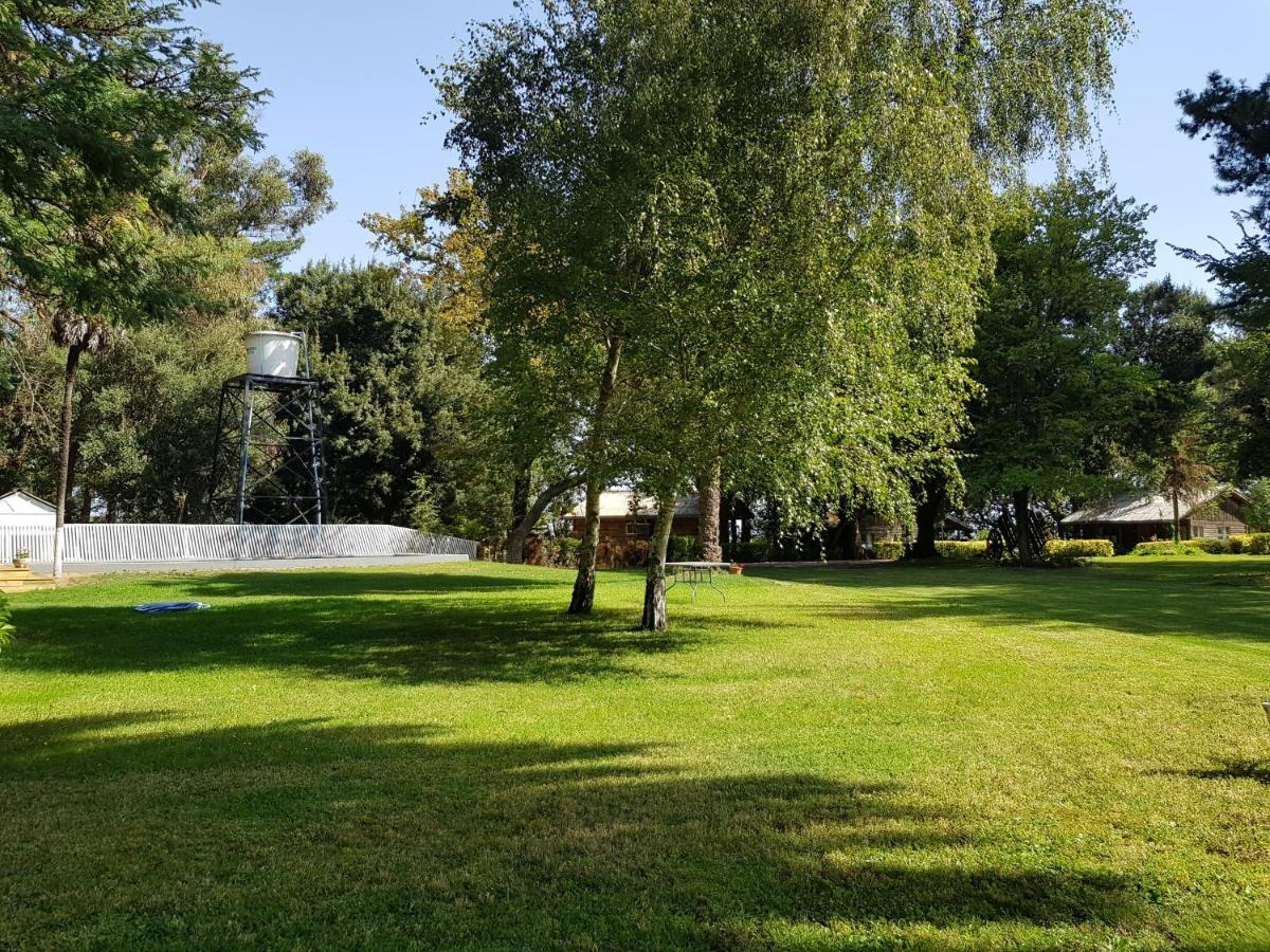 Lodge Mirador Chillán Εξωτερικό φωτογραφία