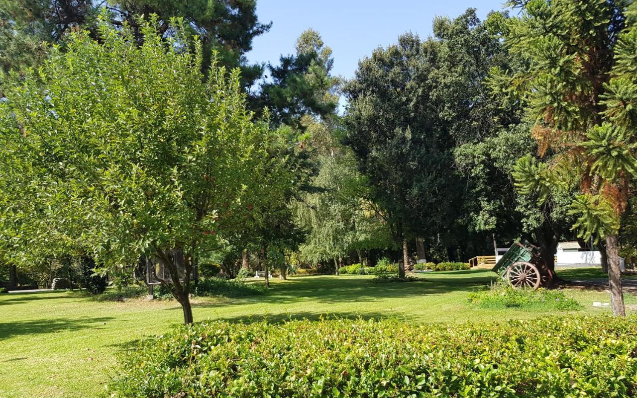 Lodge Mirador Chillán Εξωτερικό φωτογραφία