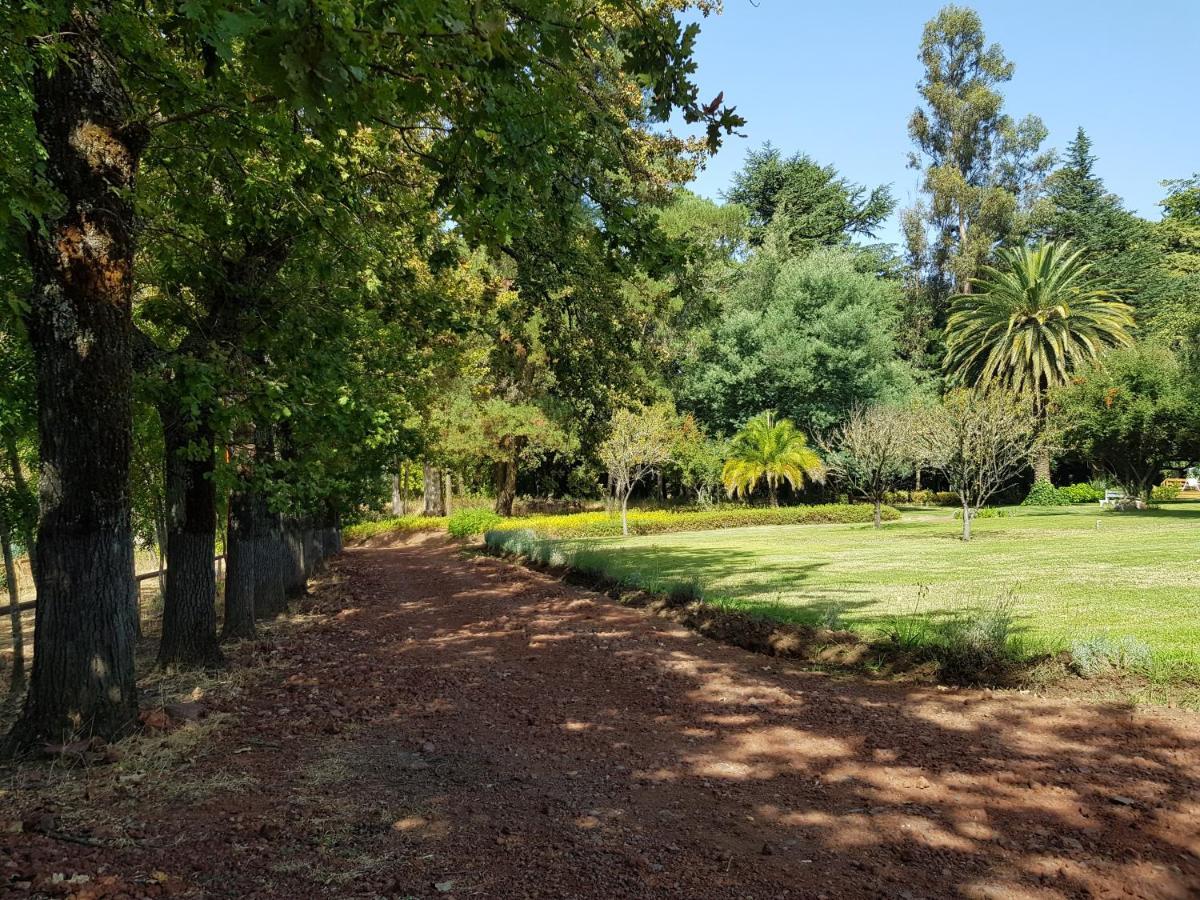 Lodge Mirador Chillán Εξωτερικό φωτογραφία