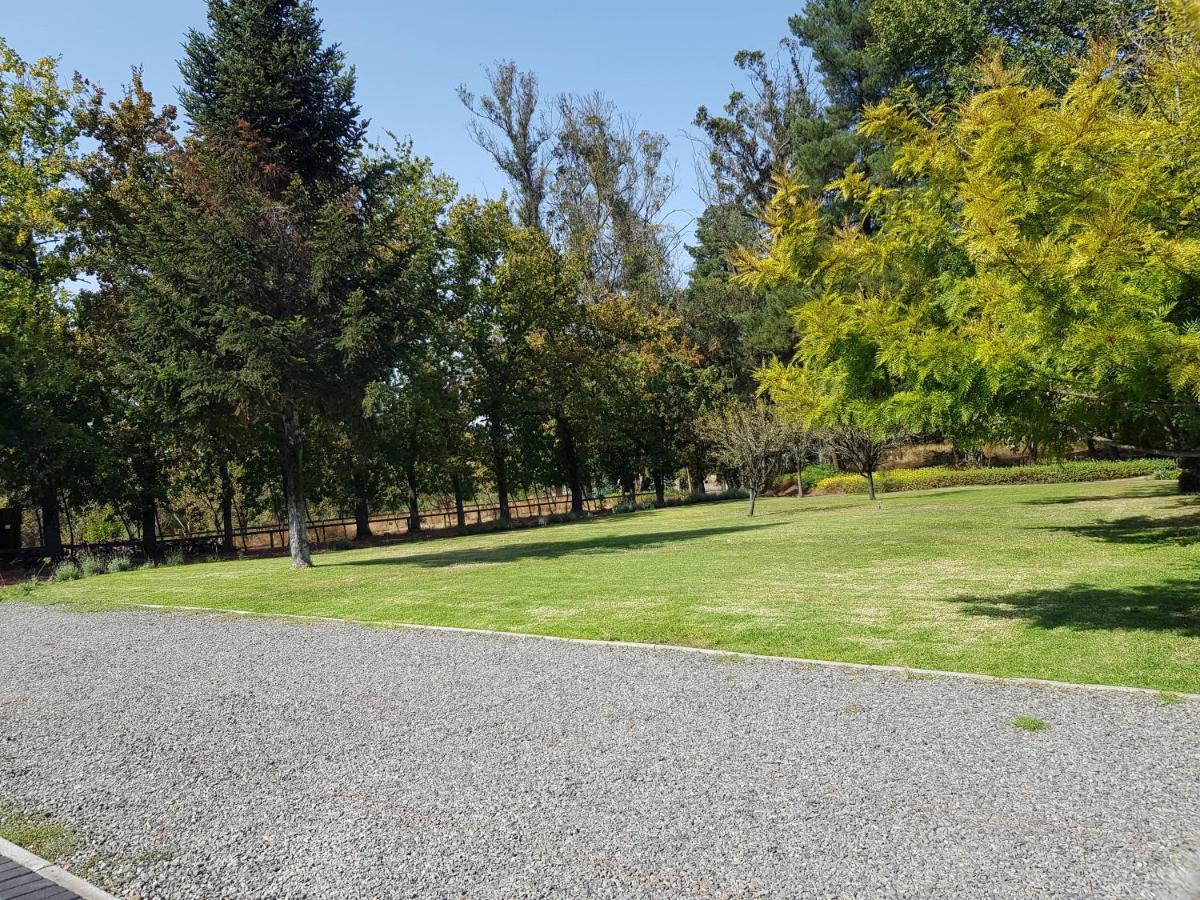 Lodge Mirador Chillán Εξωτερικό φωτογραφία