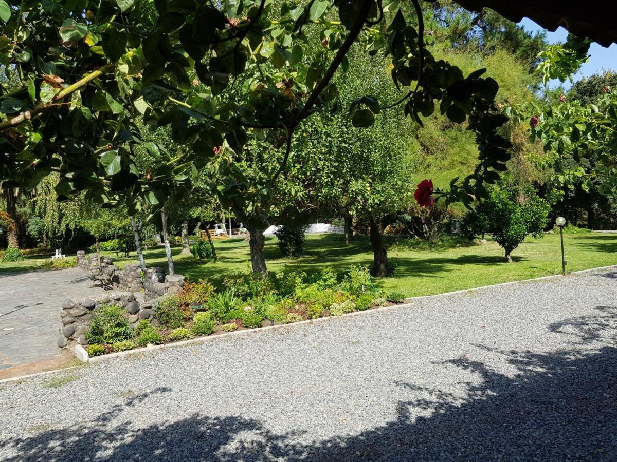 Lodge Mirador Chillán Εξωτερικό φωτογραφία