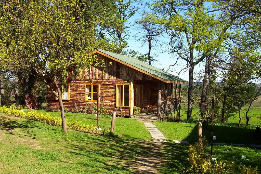 Lodge Mirador Chillán Εξωτερικό φωτογραφία