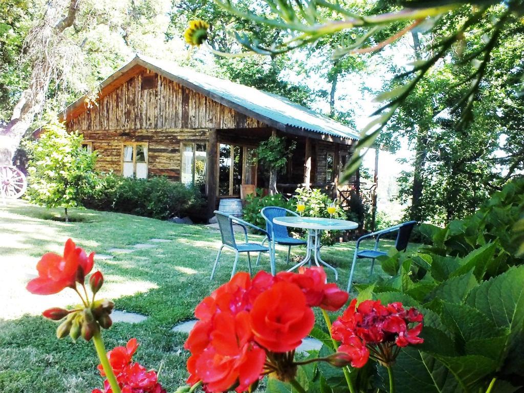 Lodge Mirador Chillán Εξωτερικό φωτογραφία